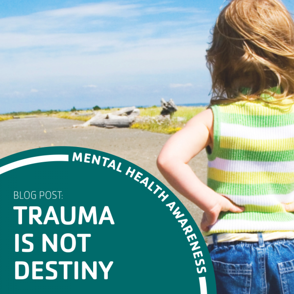 Trauma is Not Destiny Blog Post