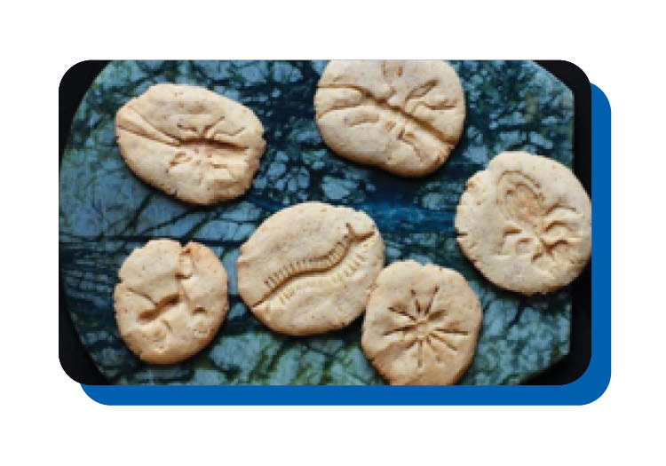 fossil cookies