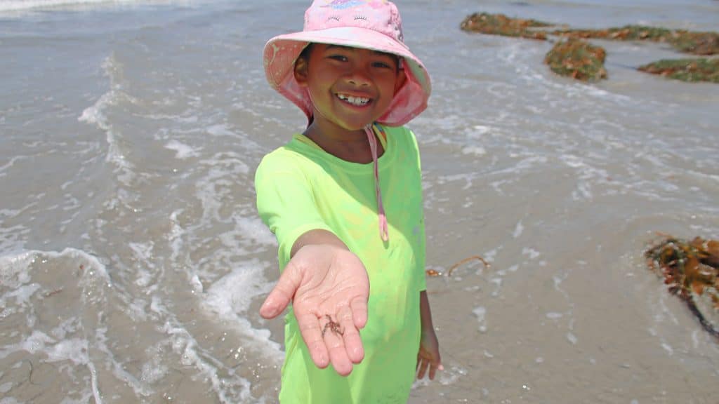 camp surf kid with starfish
